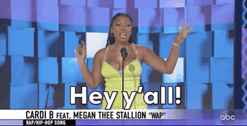 megan thee stallion saying, hey y'all