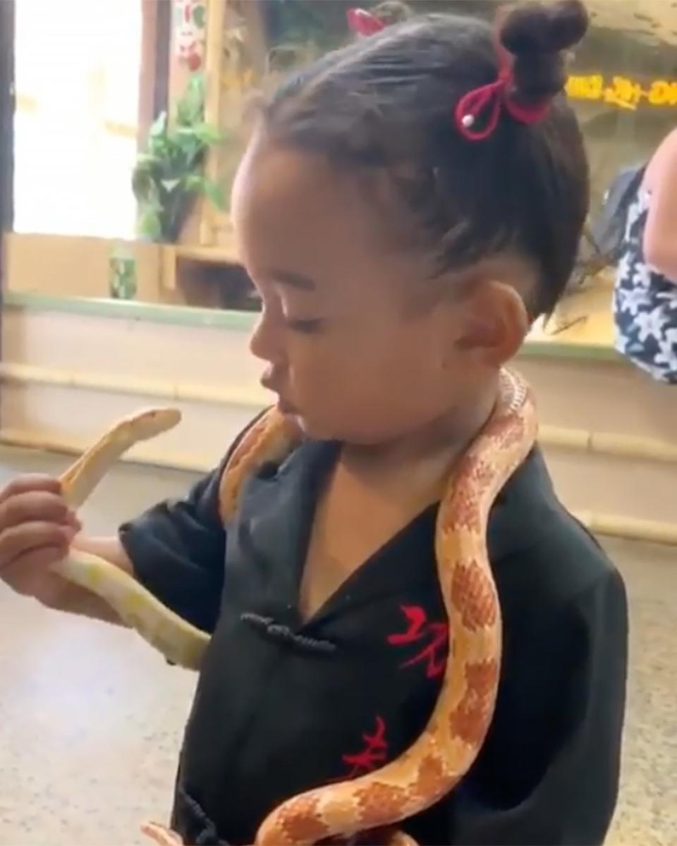 She's also totally fearless! While on vacation with her family, Chicago <a href="https://people.com/parents/kim-kardashian-daughter-chicago-snake-video/" rel="nofollow noopener" target="_blank" data-ylk="slk:showed off her courage;elm:context_link;itc:0;sec:content-canvas" class="link ">showed off her courage</a> while handling a snake. 