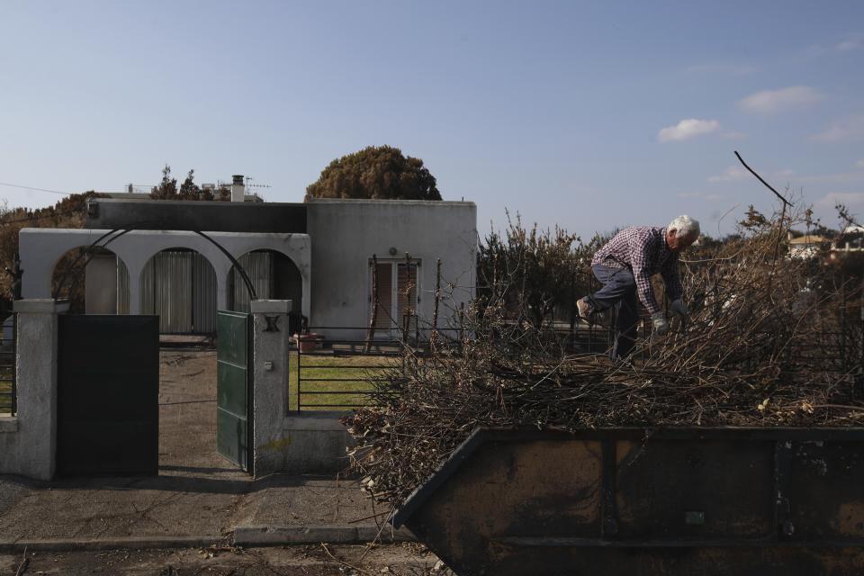 A worker loads burnt bushes into a skip, in Rafina, east of Athens, Wednesday, Aug. 1, 2018, ten days after the wildfire. The bodies of 76 people killed by Greece's deadliest wildfire in decades have been identified, authorities said Tuesday, as forensic experts kept working to identify more remains recovered from the charred resort area. (AP Photo/Thanassis Stavrakis)