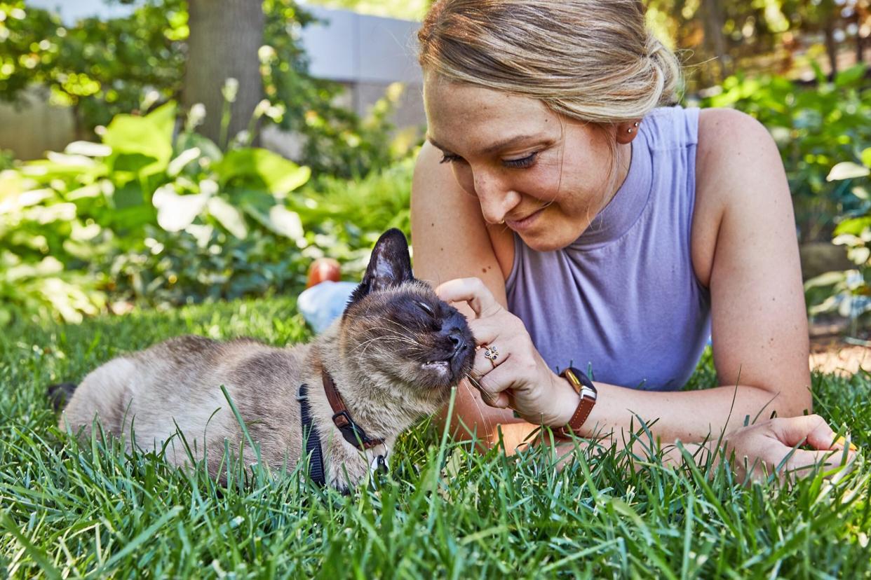 woman petting her siamese cat; what cats are most compatible with your zodiac sign?