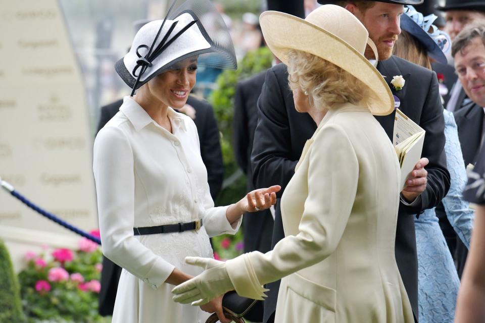 <p>The Duchess of Sussex and Duchess of Cornwall shared an engaging conversation.</p>