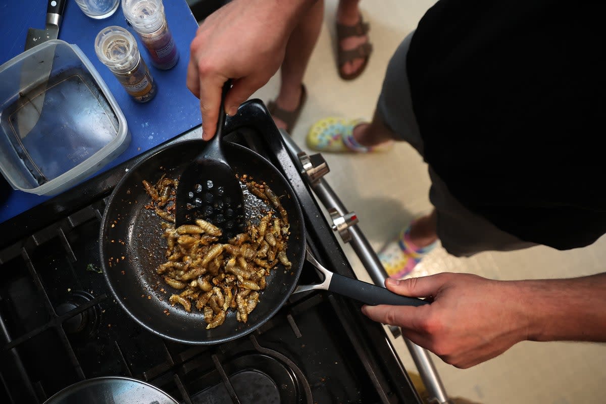A person cooks cicadas in Maryland in 2021. Enthusiasts are set to celebrate this year’s mass emergence by attending festivals, tracking the insects on apps and enjoying them as snacks (Getty Images)