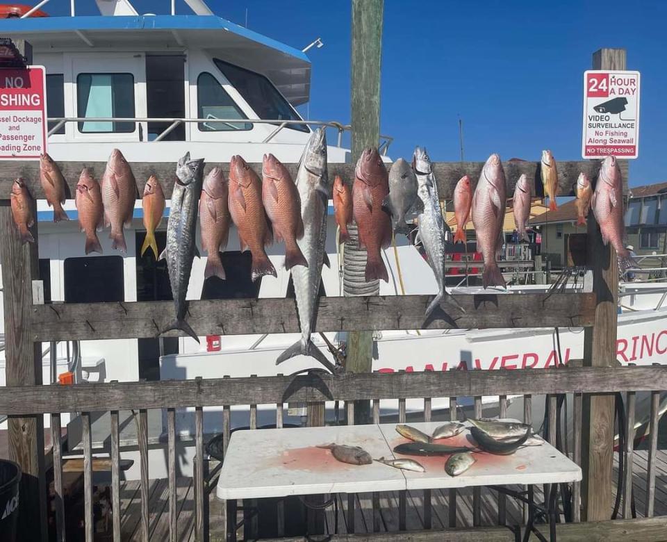 There was a mixed bag of catches on May 17, 2022 aboard the Canaveral Princess.