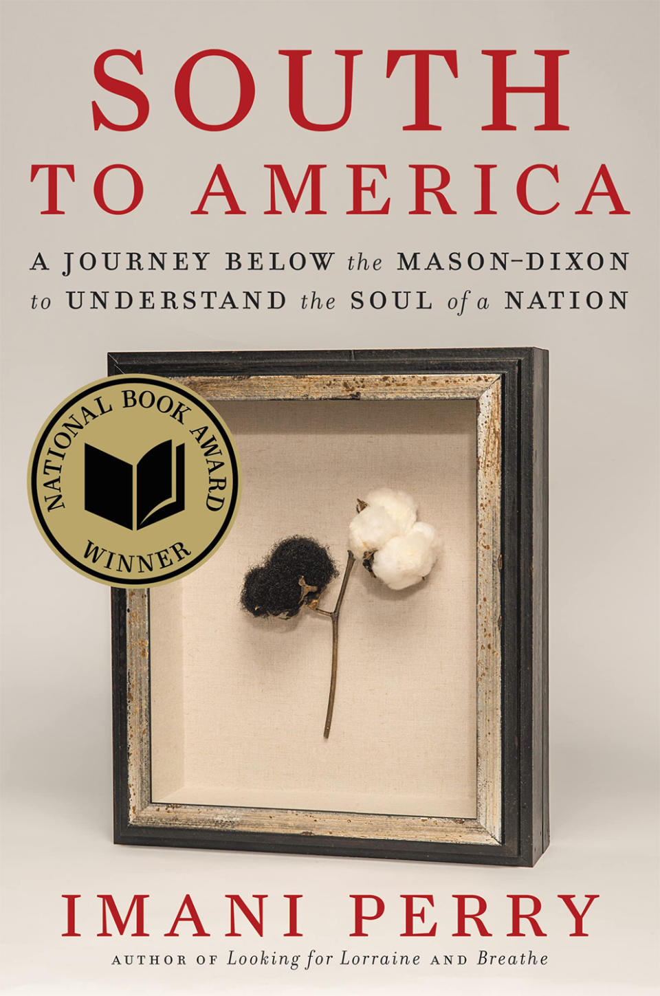 'South to America: A Journey Below the Mason-Dixon Line to Understand the Soul of a Nation' by Imani Perry