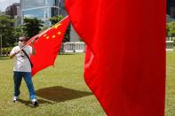 Pro-China supporters celebrate with Chinese flags after China's parliament passes national security law for Hong Kong, in Hong Kong