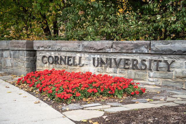 <p>Getty</p> Cornell University in New York.