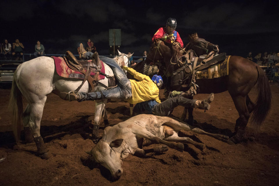 In this Nov. 18, 2019 photo, cowboys compete to grab a bull's tail during a rodeo in Maracaibo, Venezuela. The sport is from Venezuela's cattle regions and is called "Coleo," loosely meaning grabbing the tail. The downfall of Maracaibo has been especially brutal. Critics blame two decades of socialist rule for destroying the oil industry, that today produces a fraction of what it did at its height two decades ago. The Venezuelan government blames U.S. sanctions for many of its problems. (AP Photo/Rodrigo Abd)