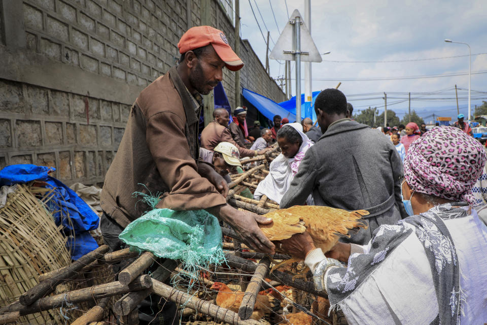 A man sells chickens in Sholla Market, the day before the Ethiopian New Year, in Addis Ababa, Ethiopia Saturday, Sept. 10, 2022. Once home to one of Africa's fastest growing economies, Ethiopia is struggling as the war in its Tigray region has reignited and Ethiopians are experiencing the highest inflation in a decade, foreign exchange restrictions and mounting debt amid reports of massive government spending on the war effort. (AP Photo)