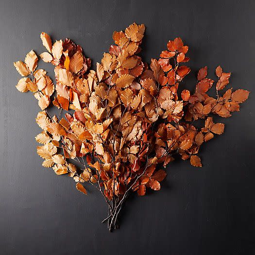 Preserved Beech Leaf Bunch