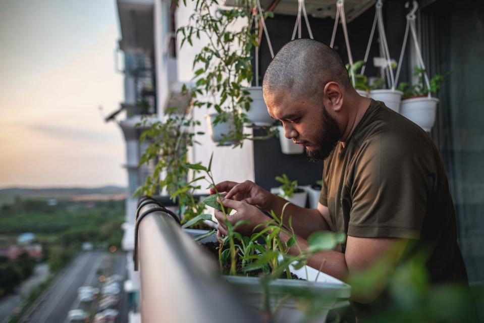 A man tending plants on the balcony of an apartment