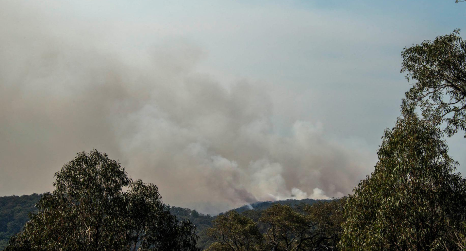 Smoke burns over a hill at Mitchell River National Park in 2021.