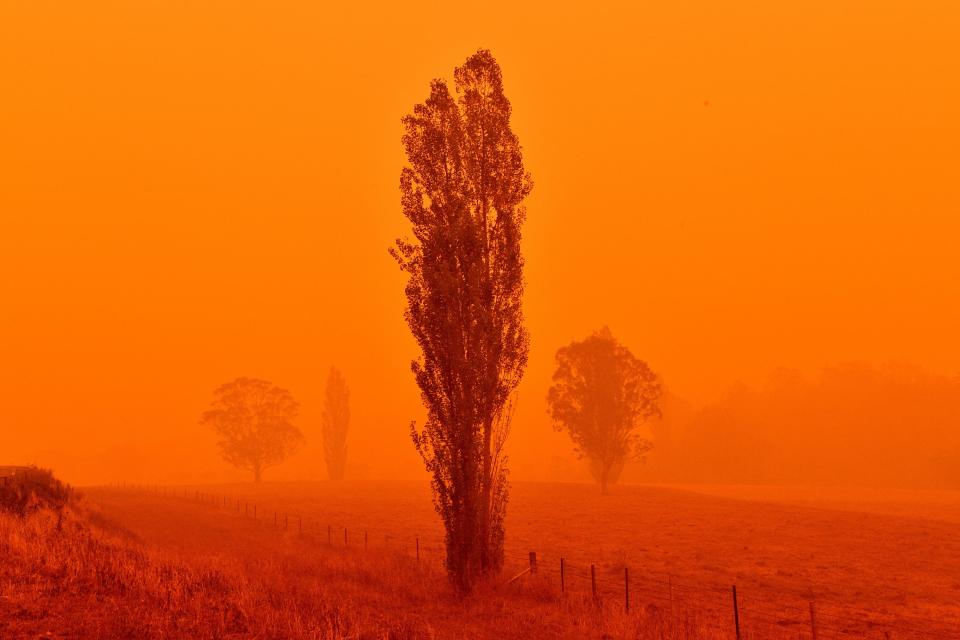 australia fires