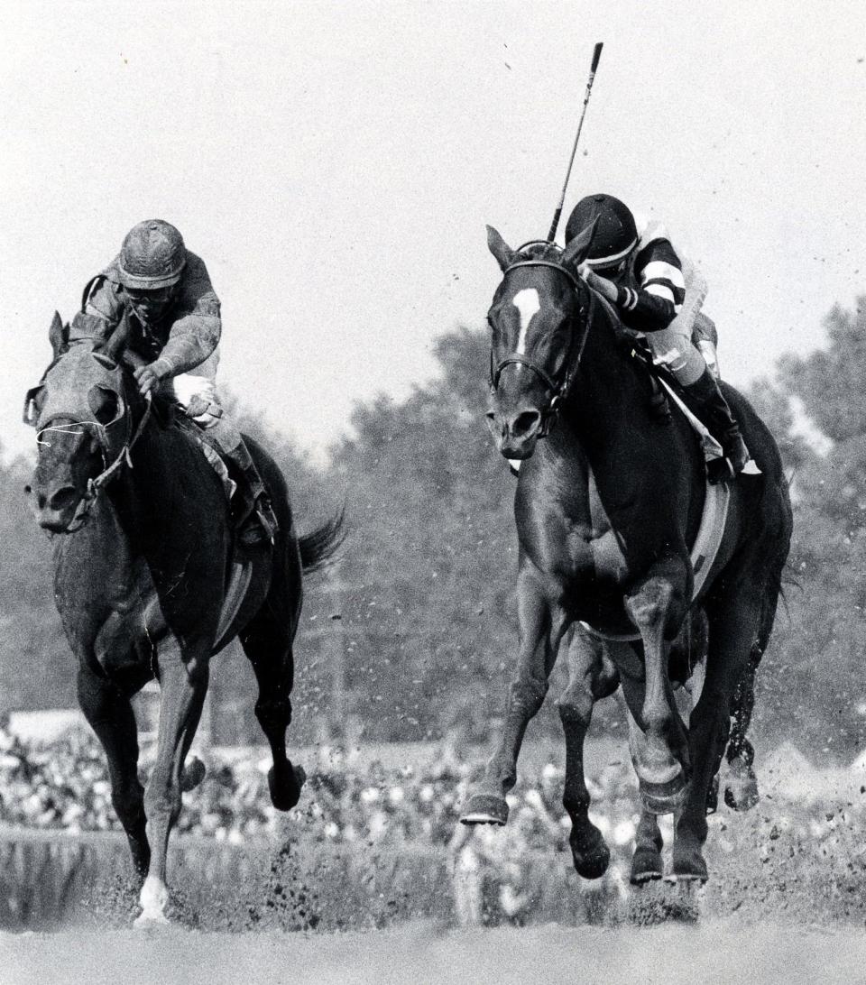 Affirmed (right), with 18-year-old Steve Cauthen aboard, thunders across the finish line to win the 104th running of the Kentucky Derby.