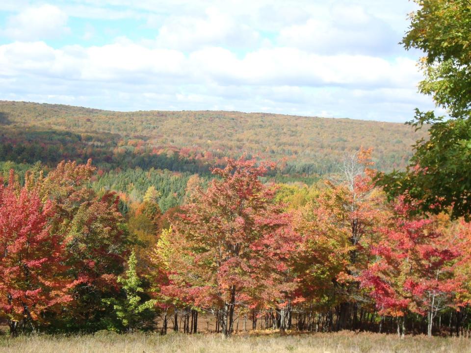 The Michigan DNR recently purchased the 2,103-acre Storey Lake property in the northern Lower Peninsula. The land will be open for hunting, fishing, camping and other outdoor activities.