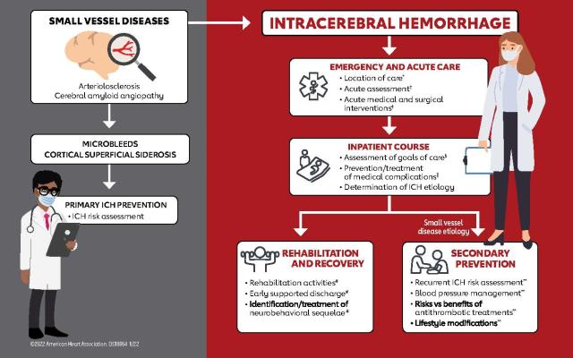 Faster Brain Hemorrhage Treatment Increases Survival Odds, According to  Study < Yale School of Medicine