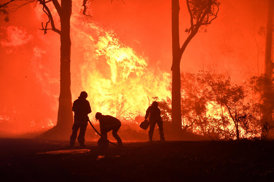 RFS volunteers and NSW Fire and Rescue officers fight a bushfire encroaching on properties near Termeil on the Princes Highway between Bateman's Bay and Ulladulla south of Sydney.