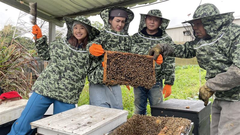 鬼鬼吳映潔跟炎亞綸、庹宗康親自採集蜂蜜。（圖／tvbs提供）