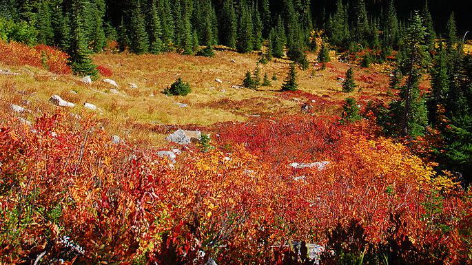 30 Beautiful Fall Pictures