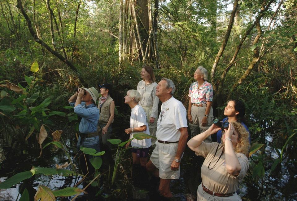 The Master Naturalist Program is one of the fastest-growing Extension programs in Florida. Trained volunteers in this and other Extension programs provide thousands of hours of valuable assistance each year.