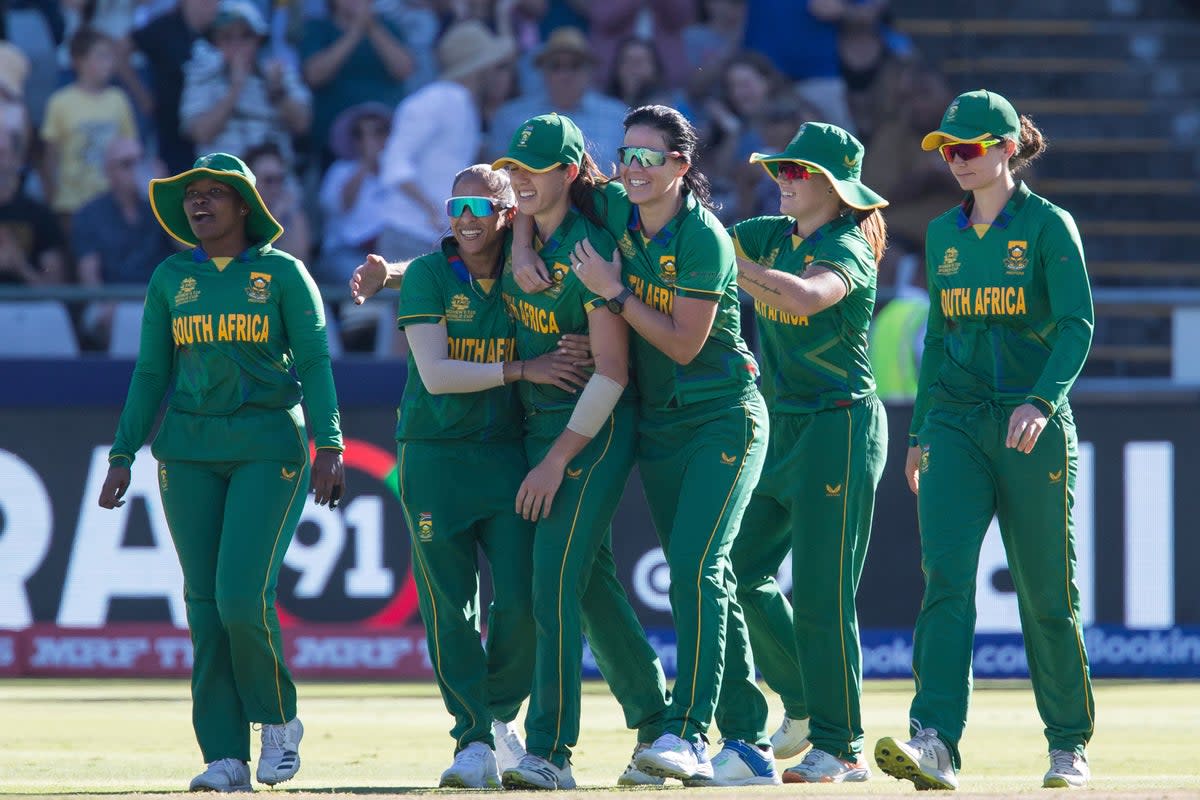 South Africa celebrate during their victory over England (Halden Krog/AP). (AP)