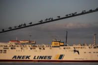 A seagull flies as other stand on the rope of a docked ferry at the port of Piraeus, near Athens during a 24-hour strike on Thursday, Nov. 26, 2020. Ferries to the islands were halted and the Athens metro system and tram were shut for Thursday's strike, although buses continued to run in the capital. (AP Photo/Petros Giannakouris)