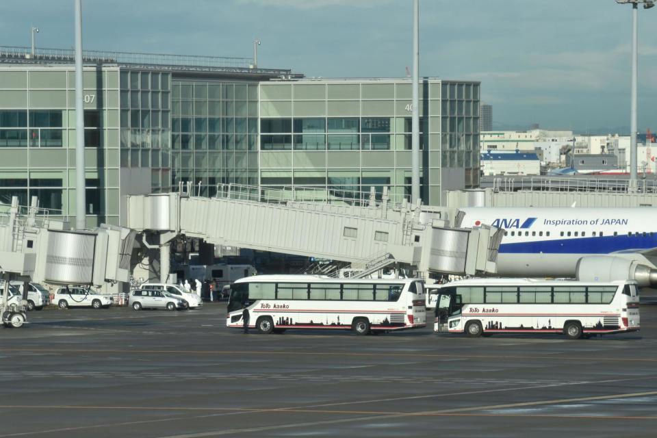 A plane carrying Japanese nationals evacuated from Wuhan arrives in Tokyo (AFP via Getty Images)