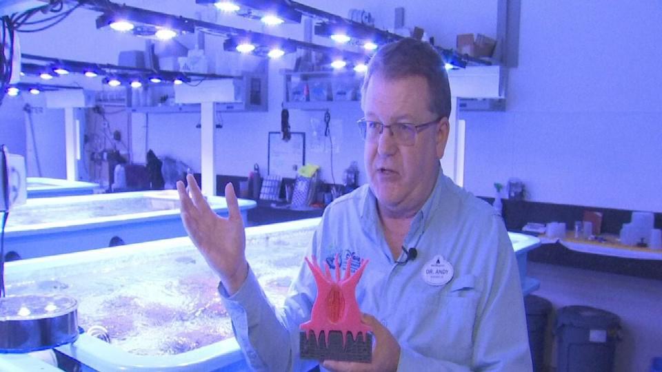 Certified meteorologist George Waldenberger visited the Florida Coral Rescue Center, which protects these coral species, and saw how they may help solve the recent coral bleaching event our reefs are experiencing.