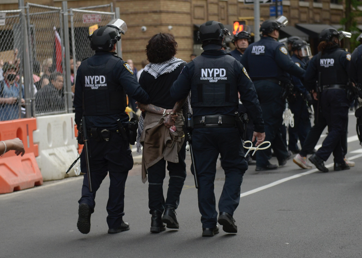 An anti-Israel protester is arrested