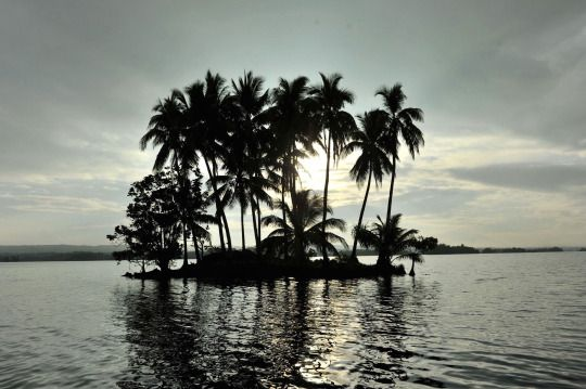 Rennell Este, Islas Salomón