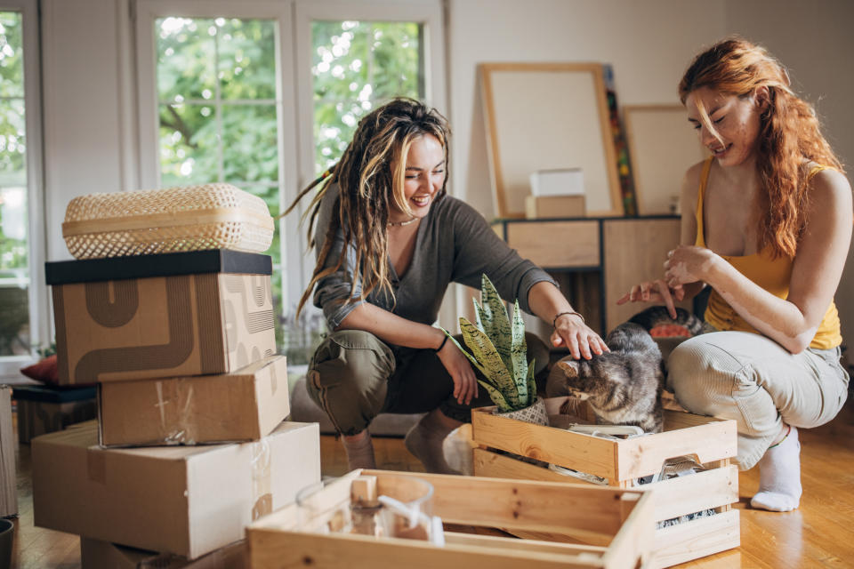 two girl friends playing with a cat in a box