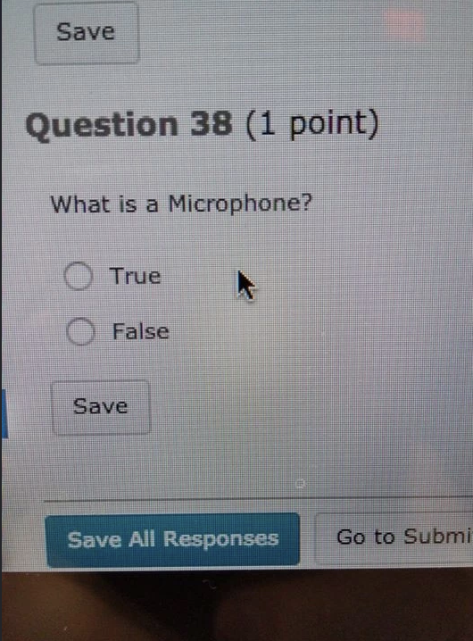 Question 38 is "What is a microphone?" and the choices are True or False