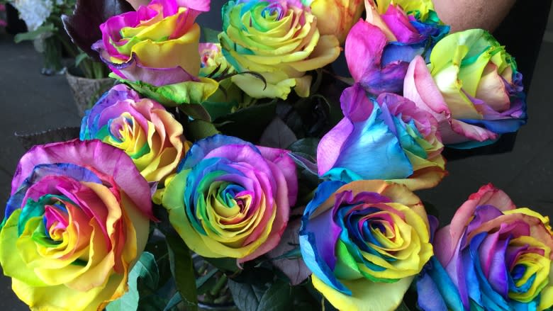 Rainbow roses sport Pride colours