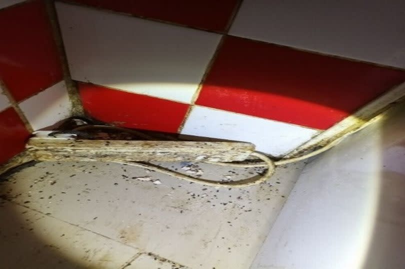 Mice droppings were found next to a freezer in the fast food shop in Dagenham