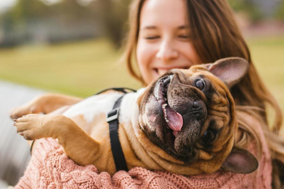 From service dogs and emotional support animals to the pet waiting to greet us at the front door, animals can bring joy, comfort and companionship. (Shutterstock)