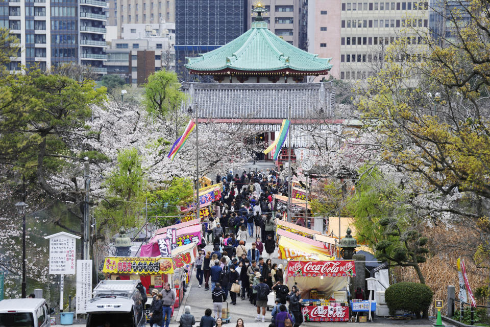 Visitors stroll the seasonal cherry blossoms at the Ueno Park Friday, April 5, 2024, in Tokyo. Crowds gathered Friday in Tokyo to enjoy Japan’s famed cherry blossoms, which are blooming later than expected in the capital because of cold weather.(AP Photo/Eugene Hoshiko)