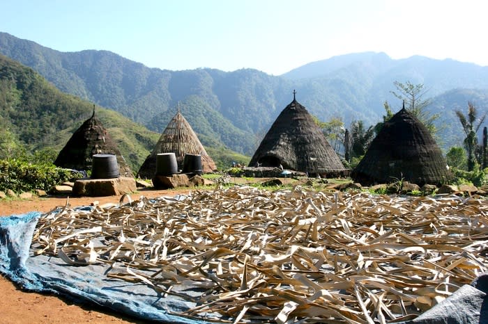 Traditional houses: Wae Rebo is the only village in West Manggarai regency that still has the traditional houses called mbaru niang - circular cone-shaped houses with very unique architecture. (