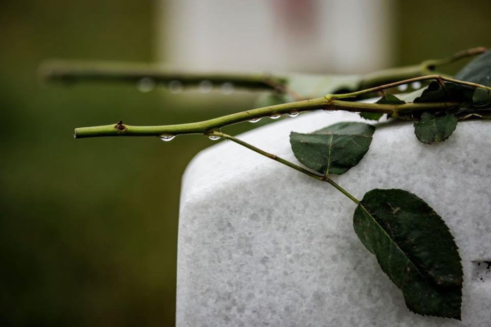 Raindrops collect on the stem of a rose placed on the top of the headstone marking a fallen service member at Arlington National Cemetery.