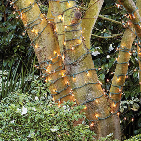 Wrap tree trunks with white lights