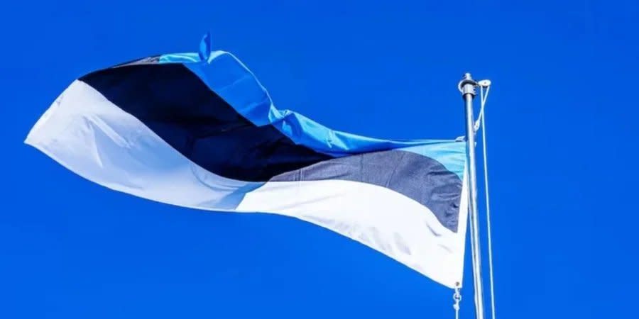 Estonian flag