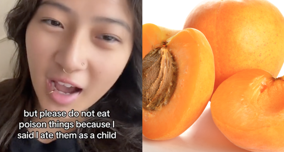 Are apricot kernels a safe way to treat acne, even though they contain cyanide? Yahoo Canada investigates. TikTok (Photos via Getty Images and TikTok/gracattackk)