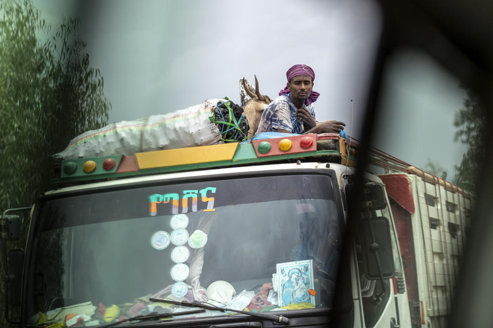 A man rides with goats and charcoal on the roof of a truck, seen through the window of a vehicle, near Danshe, a town in an area of western Tigray annexed by the Amhara region during the ongoing conflict, in Ethiopia Saturday, May 1, 2021. Ethiopia faces a growing crisis of ethnic nationalism that some fear could tear Africa's second most populous country apart, six months after the government launched a military operation in the Tigray region to capture its fugitive leaders. (AP Photo/Ben Curtis)