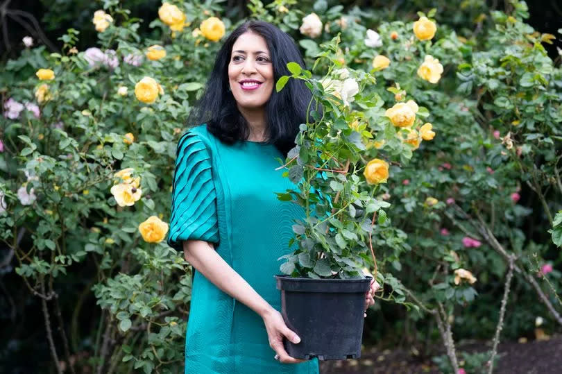 Zehra Zaidi, founder of the We Too Built Britain campaign, holds a John Ystumllyn rose in the gardens of Buckingham Palace