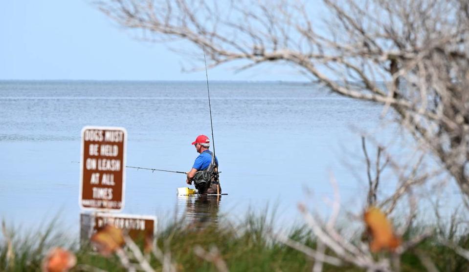 The Environmental Lands Management and Acquisition Committee has recommended that Manatee County Government purchase 98 acres next door to Emerson Point Preserve in Palmetto. The Manatee Board of County Commissioners is weighing whether to go forward with the purchase and expand the preserve. A fisherman tests the waters at Emerson Point on Tuesday, March 5, 2024.