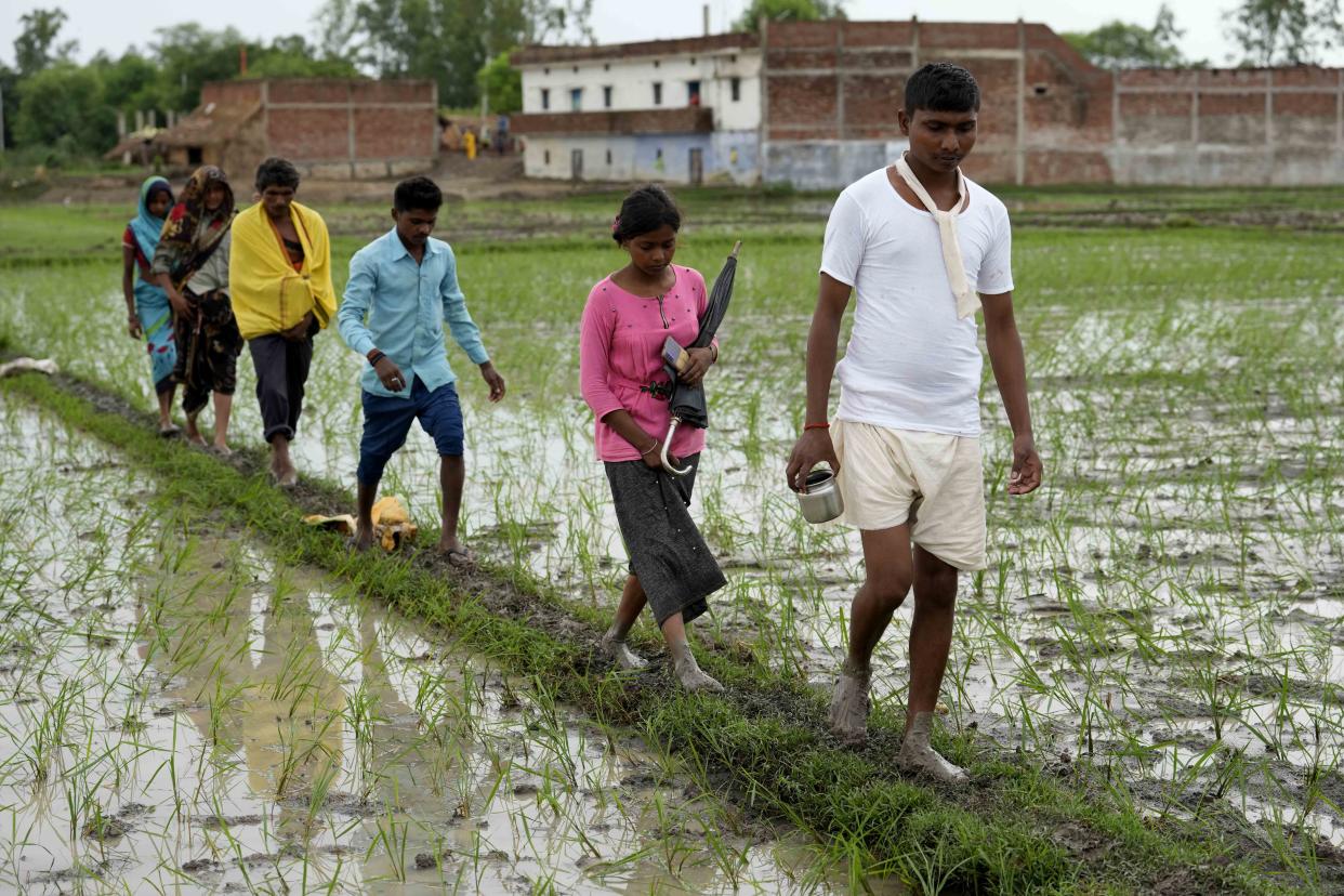 Sushil Kumar Bind leads his family members towards the field where his wife Khushboo who was killed by lightning on June 25 at Piparaon village on the outskirts of Prayagraj, in the northern Indian state of Uttar Pradesh, Thursday, July 28, 2022. Seven people, mostly farmers, were killed by lightning in a village in India's northern Uttar Pradesh state, police said Thursday, bringing the death toll by lightning to 49 people in the state this week. (AP Photo/Rajesh Kumar Singh)