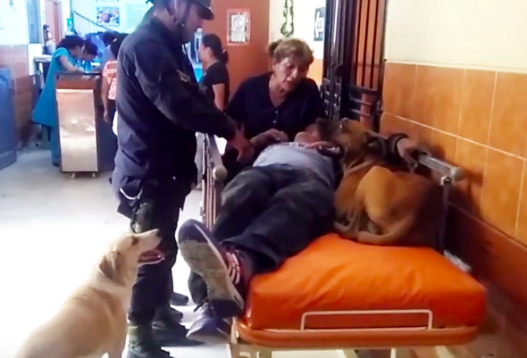 The dogs travelled to the hospital with their owner (Facebook/Seguridad Ciudadana Chimbote)