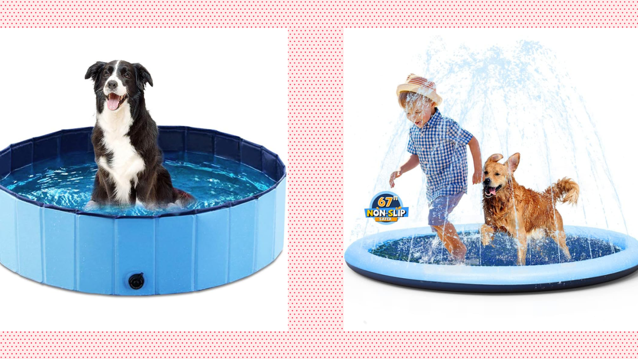a dog and a child playing in a dog pool