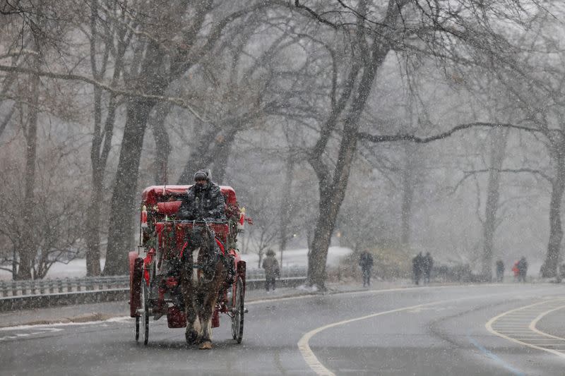 Snow falls in New York City