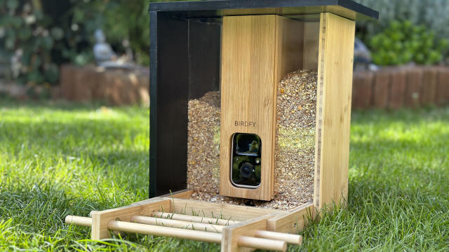 Birdfy Feeder Bamboo - Bamboo Wood Bird Feeder Camera – netvue