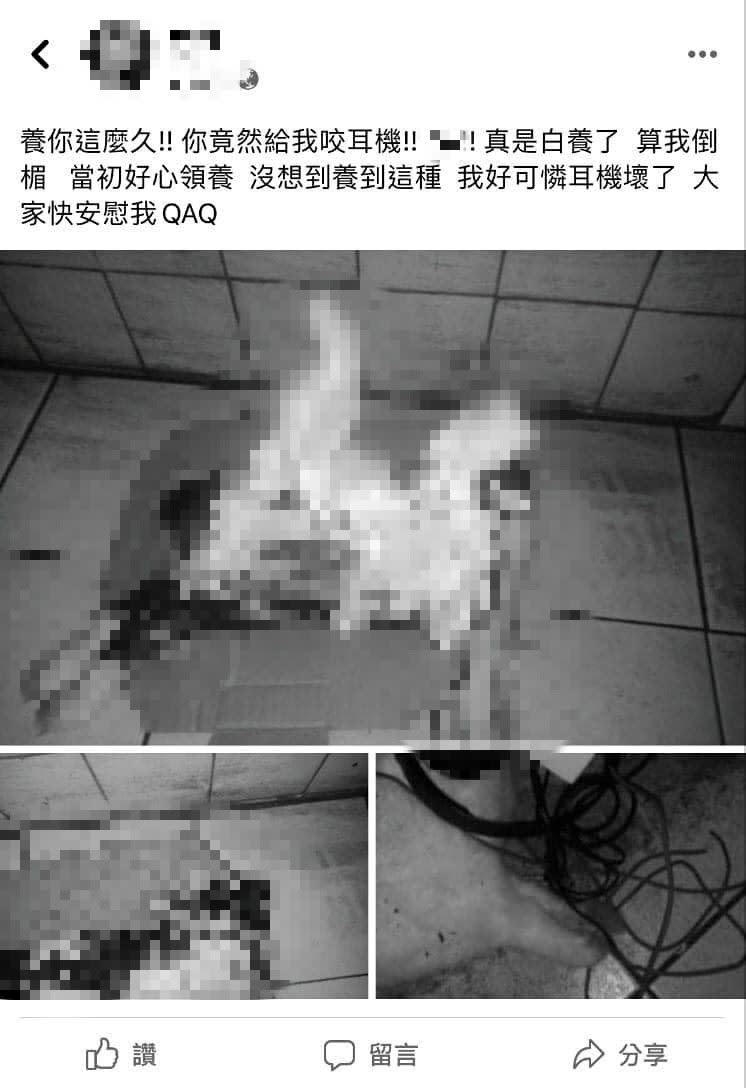 女飼主疑似不滿兔子咬壞耳機，點火燒兔子洩憤。（圖／翻攝自 臉書）