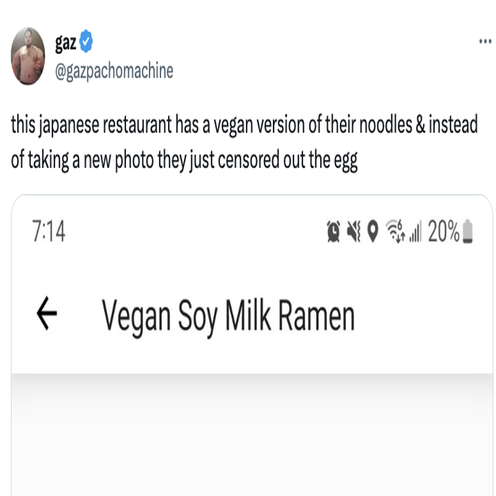 Vegan Soy Milk Ramen